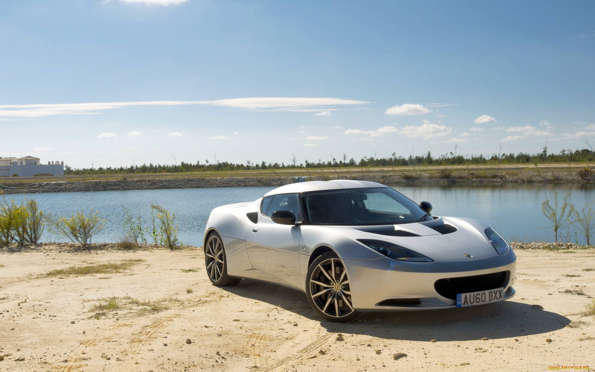 , lotus